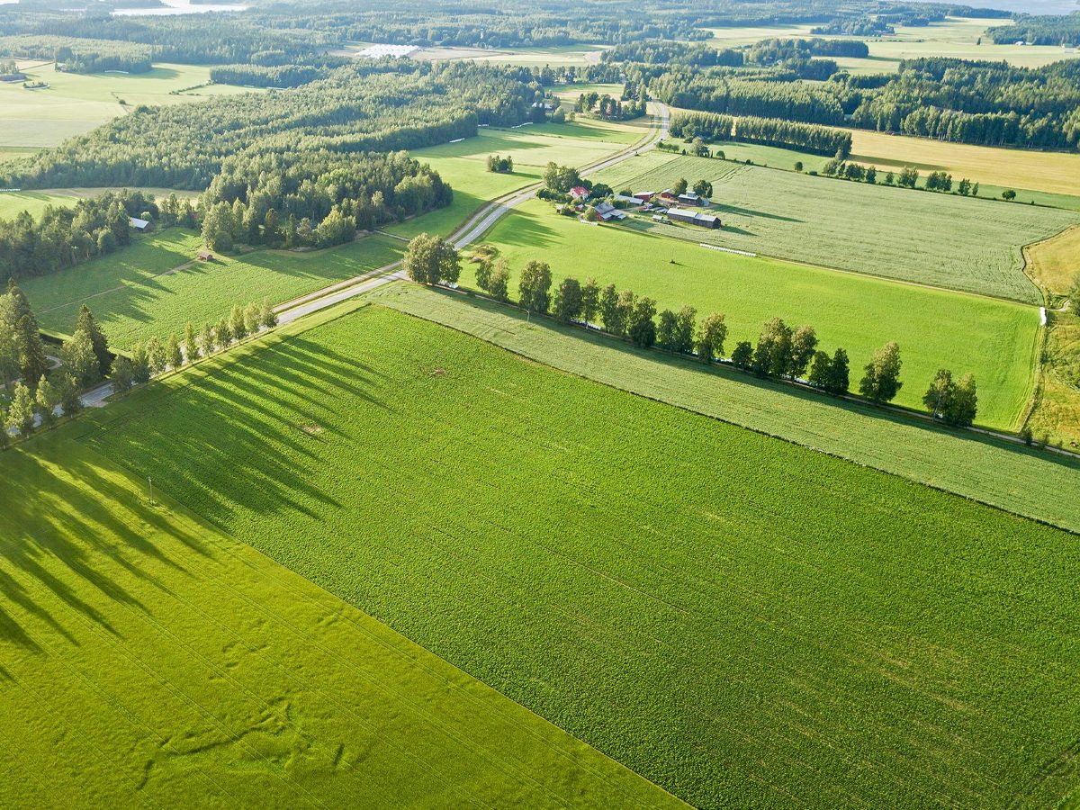 Bogura Land Development