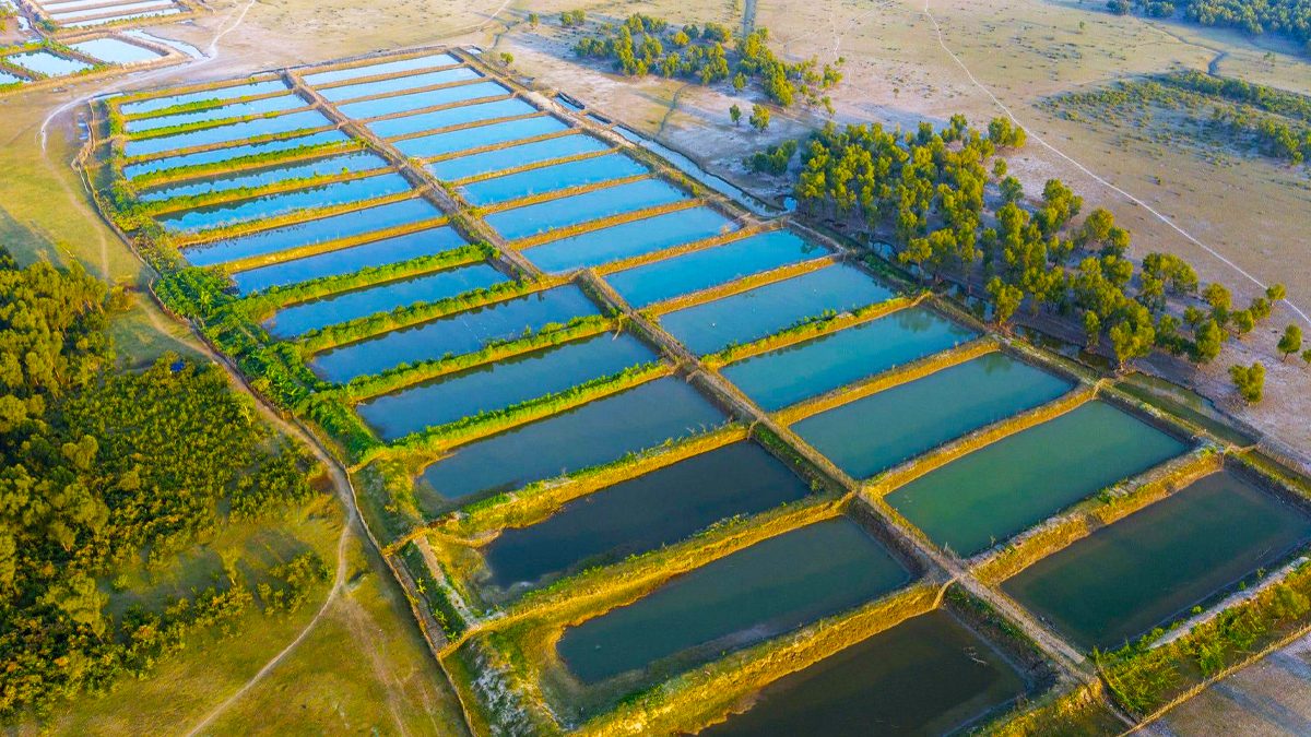 GrowVest opens new aqua project in Mymensingh