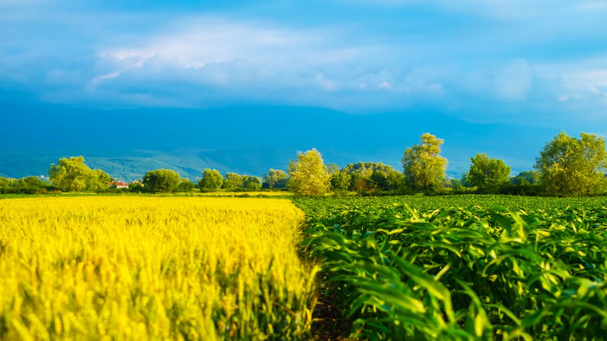 GrowVest partners with local farmer cooperatives