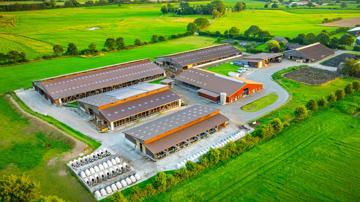 Investor meetup 2026: visiting our Savar dairy farm