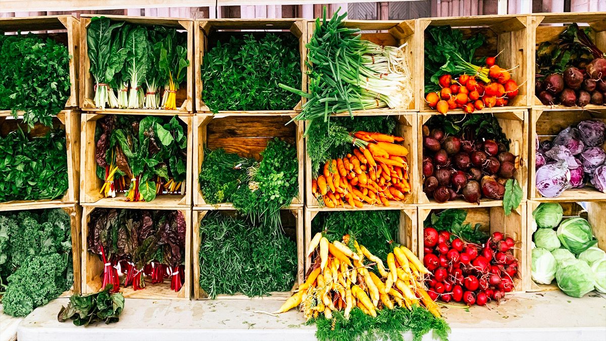Organic vegetable harvest reaches Dhaka wholesale markets