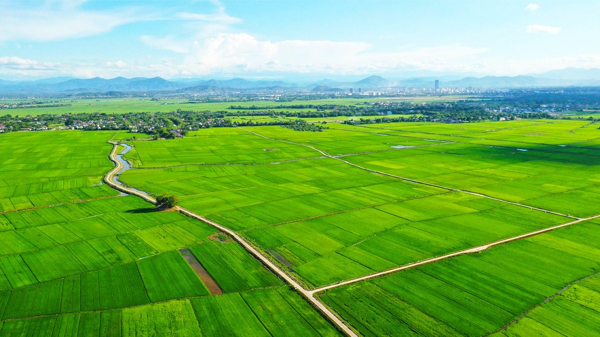 Agricultural Investment Solutions