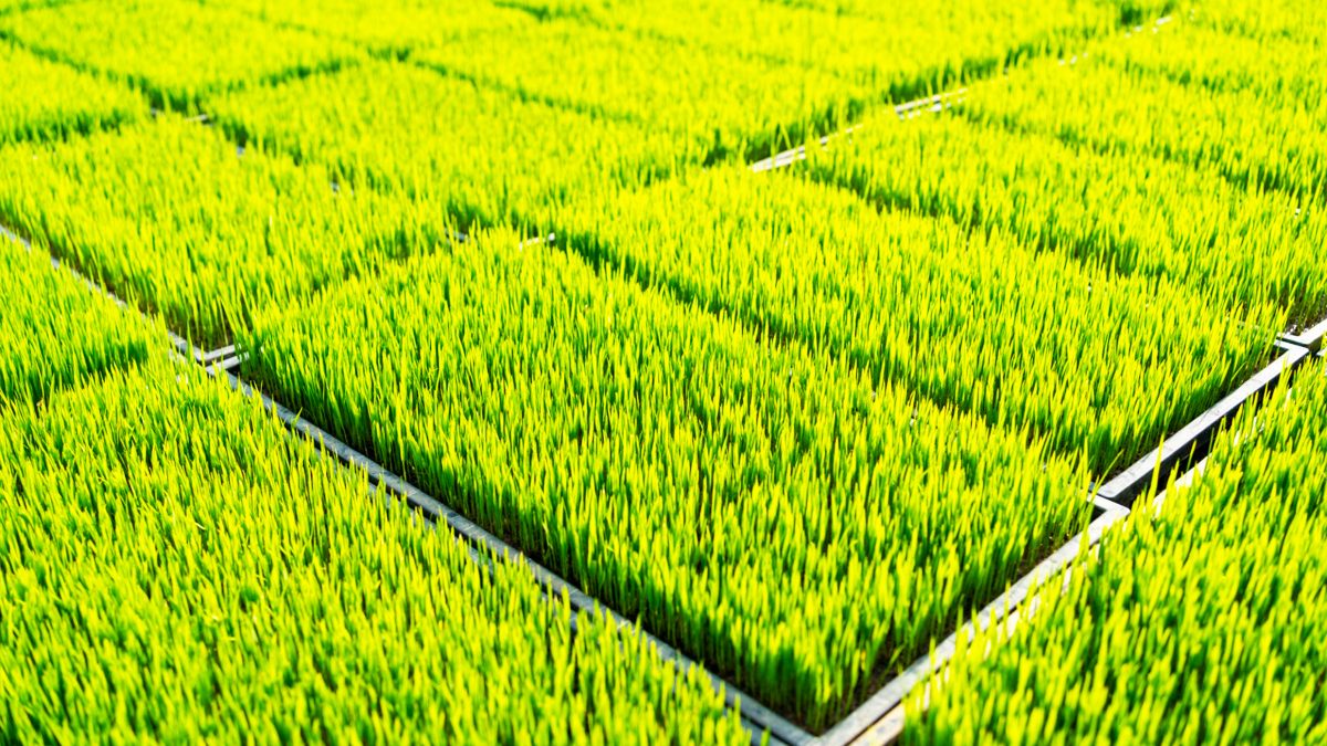 Farmer Empowerment & Partnership