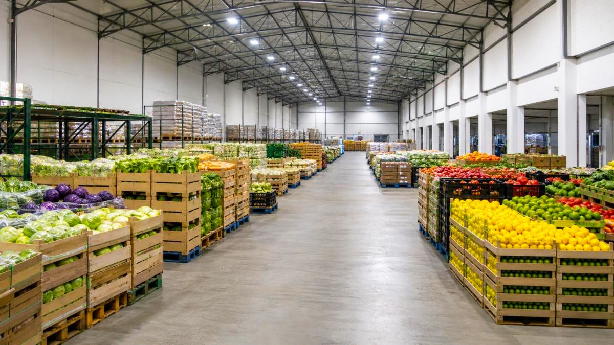 Market Access & Commercial Partnerships