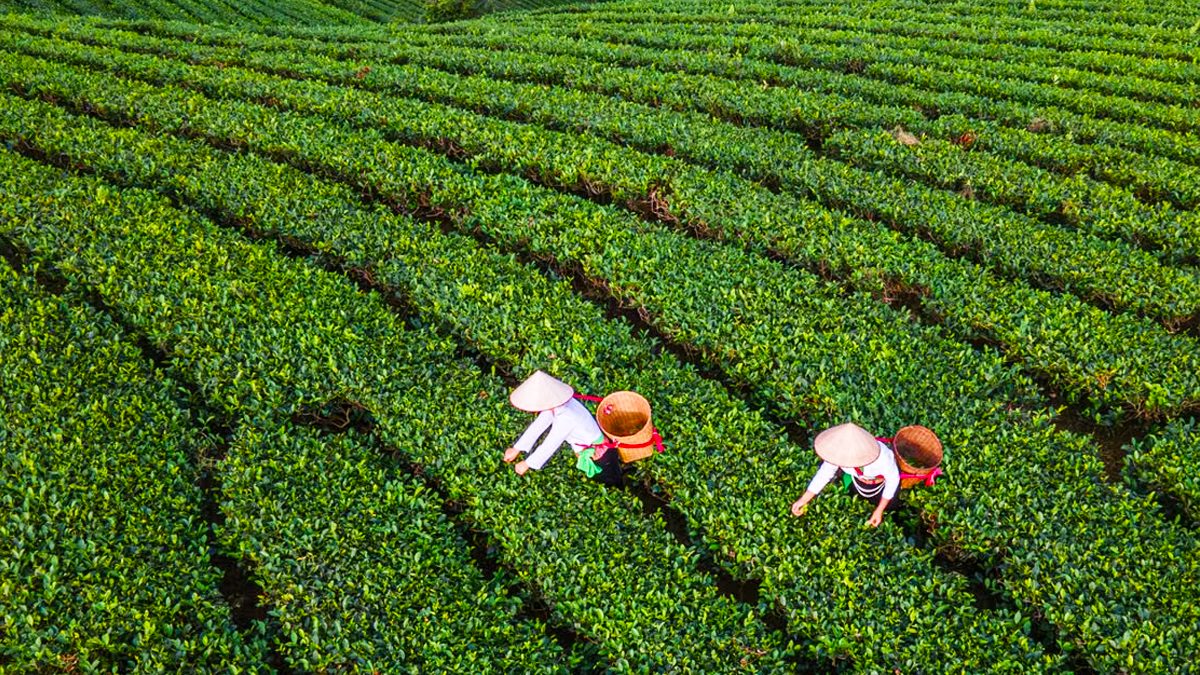 Sustainable & Responsible Agriculture